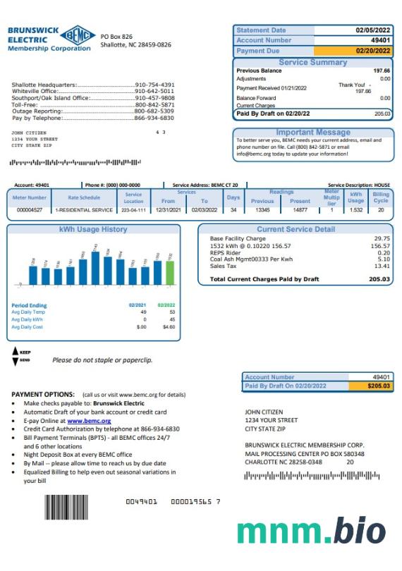 USA North Carolina Brunswick Electric rachunek za media szablon w formacie Word i PDF
